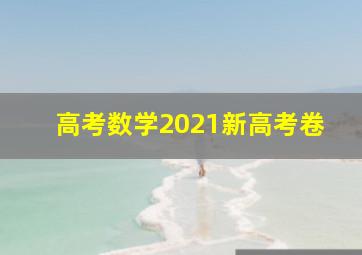 高考数学2021新高考卷