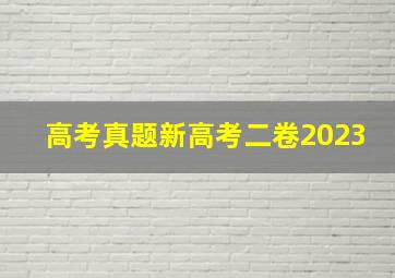 高考真题新高考二卷2023