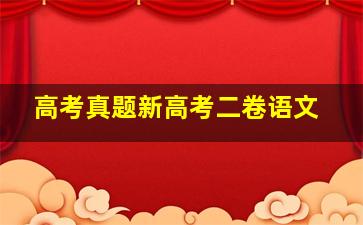 高考真题新高考二卷语文