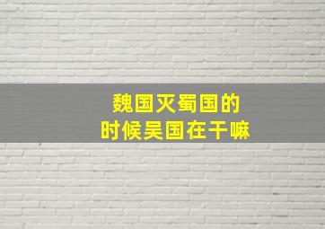 魏国灭蜀国的时候吴国在干嘛