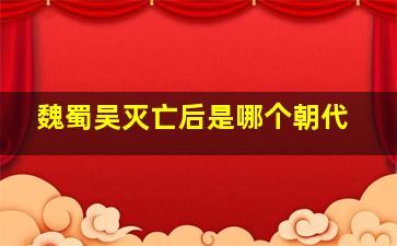 魏蜀吴灭亡后是哪个朝代