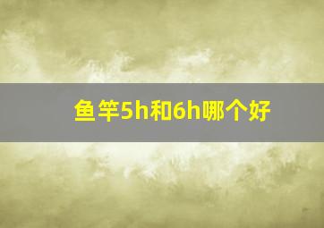 鱼竿5h和6h哪个好