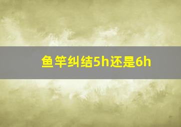 鱼竿纠结5h还是6h