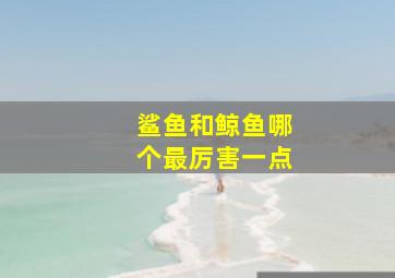 鲨鱼和鲸鱼哪个最厉害一点