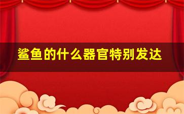 鲨鱼的什么器官特别发达