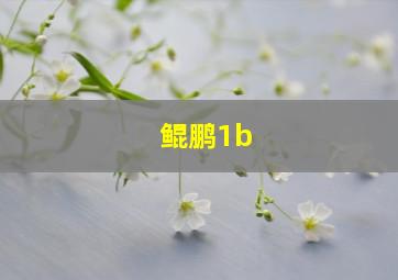 鲲鹏1b