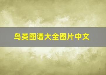 鸟类图谱大全图片中文