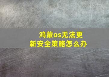 鸿蒙os无法更新安全策略怎么办