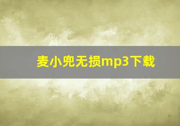 麦小兜无损mp3下载