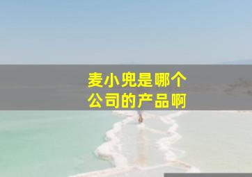 麦小兜是哪个公司的产品啊