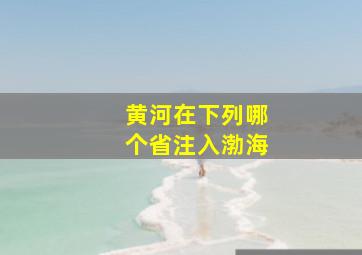 黄河在下列哪个省注入渤海