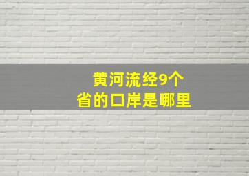 黄河流经9个省的口岸是哪里