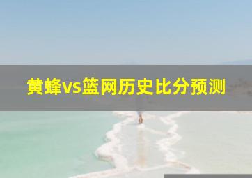 黄蜂vs篮网历史比分预测