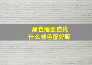 黑色缅因猫找什么颜色配好呢