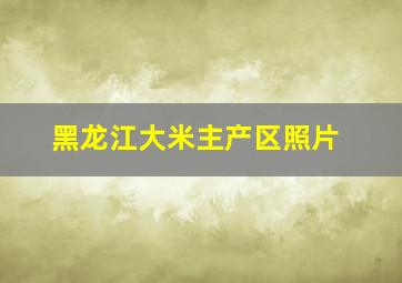 黑龙江大米主产区照片