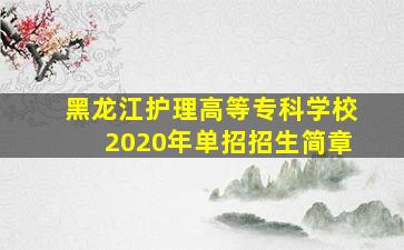 黑龙江护理高等专科学校2020年单招招生简章