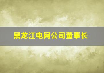 黑龙江电网公司董事长