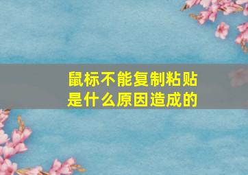 鼠标不能复制粘贴是什么原因造成的