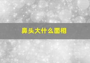 鼻头大什么面相