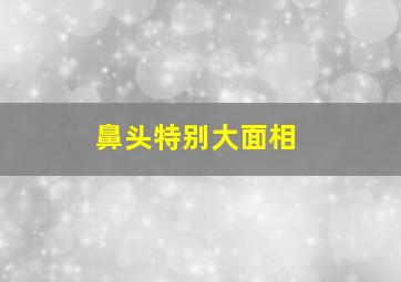 鼻头特别大面相