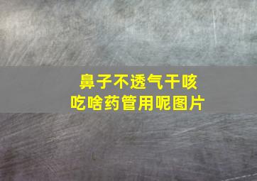 鼻子不透气干咳吃啥药管用呢图片