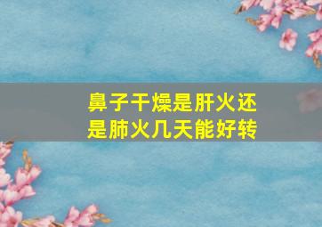 鼻子干燥是肝火还是肺火几天能好转