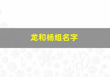 龙和杨组名字