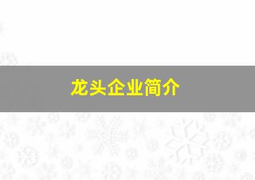 龙头企业简介