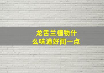 龙舌兰植物什么味道好闻一点