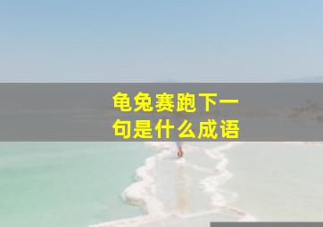 龟兔赛跑下一句是什么成语