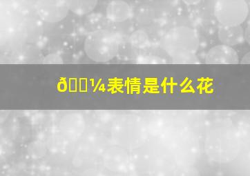 🌼表情是什么花